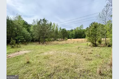 1 Roy Lawrence Road, Sparta, GA 31087 - Photo 8