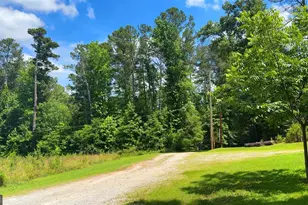 484 Riverside Rd, Tallapoosa, GA 30176 - Photo 12