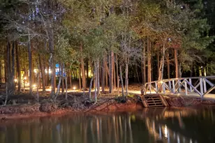 340 Foxy Ln, Martin, GA 30557 - Photo 48