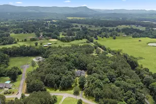 62 Cannon Rd, Lyerly, GA 30730 - Photo 4