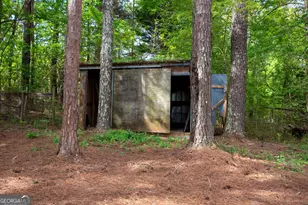 598 Beavers Rd, Grantville, GA 30220 - Photo 44