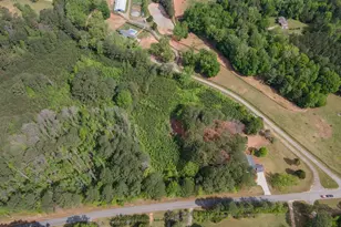 598 Beavers Rd, Grantville, GA 30220 - Photo 52