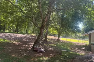 903 Village Rd, Hiawassee, GA 30546 - Photo 54