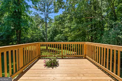 18 Coggins Place, Newnan, GA 30265 - Photo 50