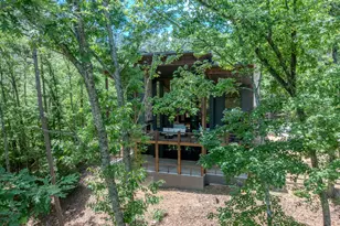 2632 Big Creek Rd, Cherry Log, GA 30522 - Photo 4