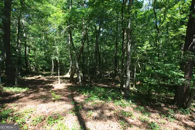 0 McGee Bend Road, Rome, GA 30165 - Photo 4