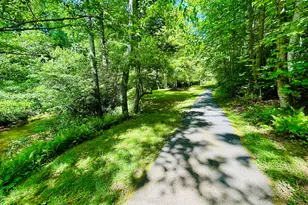 1815 Canoe Creek Dr, Hiawassee, GA 30546 - Photo 42