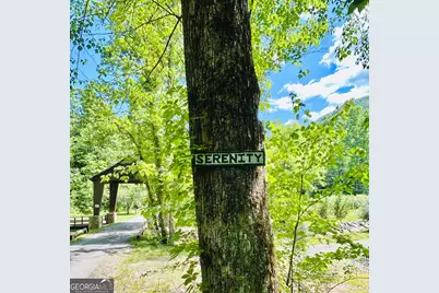 1815 Canoe Creek Dr, Hiawassee, GA 30546 - Photo 40