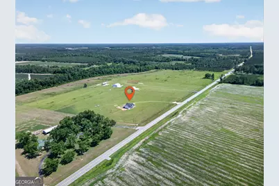 3690 Hwy 121 N, Blackshear, GA 31516 - Photo 8