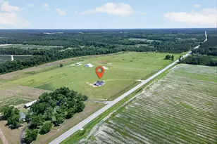 3690 Hwy 121 N, Blackshear, GA 31516 - Photo 8