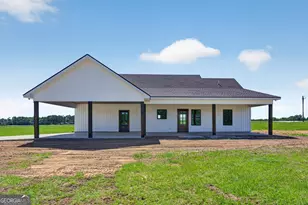 3690 Hwy 121 N, Blackshear, GA 31516 - Photo 2
