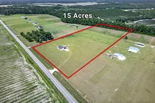 3690 Hwy 121 N, Blackshear, GA 31516 - Photo 14