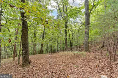 98 Sharp Mountain Parkway, Jasper, GA 30143 - Photo 12