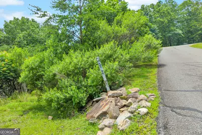 98 Sharp Mountain Parkway, Jasper, GA 30143 - Photo 16