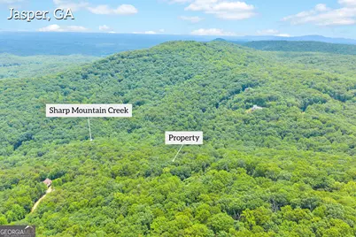 98 Sharp Mountain Parkway, Jasper, GA 30143 - Photo 2