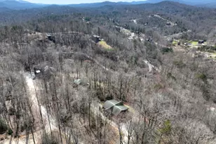 195 Trina Lane, Blue Ridge, GA 30513 - Photo 54