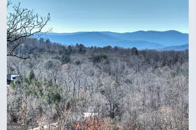 195 Trina Lane #135, Blue Ridge, GA 30513 - Photo 62
