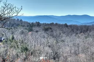 195 Trina Lane, Blue Ridge, GA 30513 - Photo 62