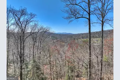 195 Trina Lane #135, Blue Ridge, GA 30513 - Photo 10