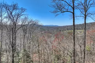 195 Trina Lane, Blue Ridge, GA 30513 - Photo 10