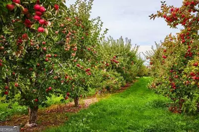 28 N Main Street, Ellijay, GA 30540 - Photo 30