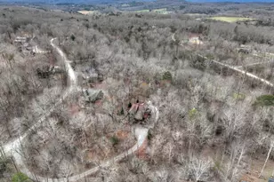 389 Toccoa Preserve Lane, Blue Ridge, GA 30513 - Photo 76