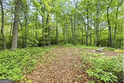 915 Sillycook Trail, Clarkesville, GA 30523 - Photo 50