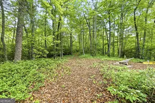 915 Sillycook Trail, Clarkesville, GA 30523 - Photo 50