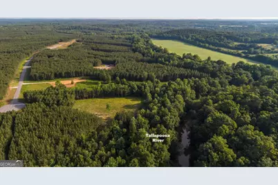 435 Steadman Lane, Tallapoosa, GA 30176 - Photo 4