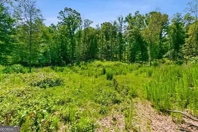0 Williams Road SE, Silver Creek, GA 30173 - Photo 30