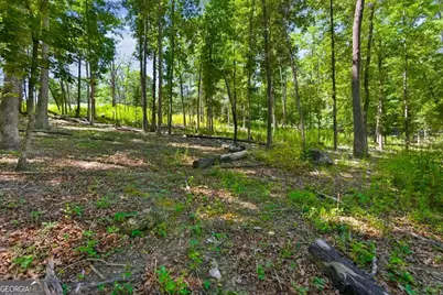 0 Williams Road SE, Silver Creek, GA 30173 - Photo 24