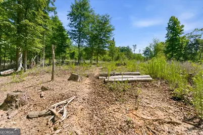 0 Williams Road SE, Silver Creek, GA 30173 - Photo 32