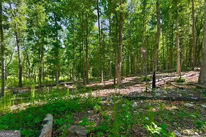 0 Williams Road SE, Silver Creek, GA 30173 - Photo 22