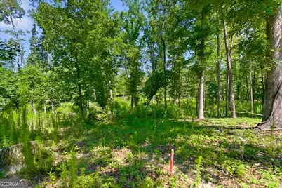 0 Williams Road SE, Silver Creek, GA 30173 - Photo 18