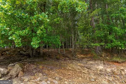 Lot 13 Deaver Cove Road, Blairsville, GA 30512 - Photo 12