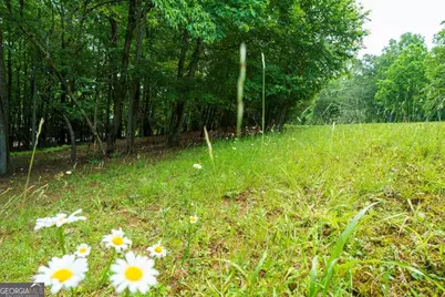 Lot 13 Deaver Cove Road, Blairsville, GA 30512 - Photo 8