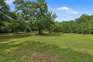 255 Frankie Ln, Covington, GA 30014 - Photo 32