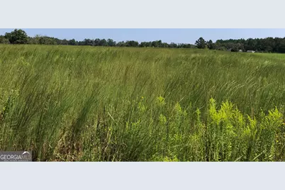 0 Ga Highway 126, Cochran, GA 31014 - Photo 1