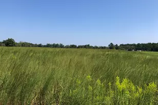 0 Ga Hwy 126, Cochran, GA 31014 - Photo 1