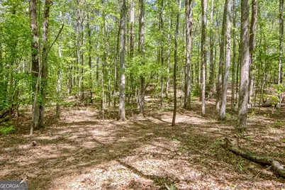 404 Tranquil Cemetary Road, Senoia, GA 30276 - Photo 62