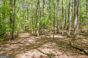 404 Tranquil Cemetary Rd, Senoia, GA 30276 - Photo 62