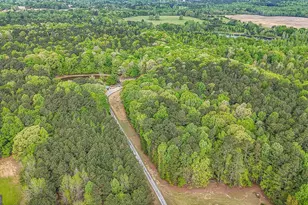 404 Tranquil Cemetary Rd, Senoia, GA 30276 - Photo 6