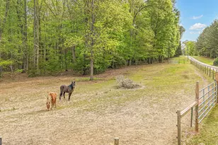 404 Tranquil Cemetary Rd, Senoia, GA 30276 - Photo 10