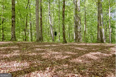 404 Tranquil Cemetary Road, Senoia, GA 30276 - Photo 14