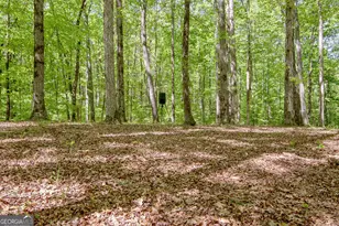 404 Tranquil Cemetary Rd, Senoia, GA 30276 - Photo 14