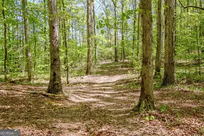 404 Tranquil Cemetary Road, Senoia, GA 30276 - Photo 64
