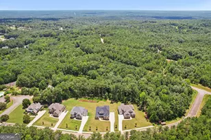 8023 White Stone Blvd, Douglasville, GA 30135 - Photo 78