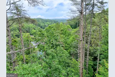 56 Walker Ridge Way, Mineral Bluff, GA 30559 - Photo 20