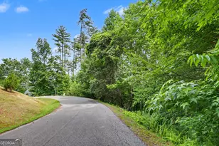 56 Walker Rdg Wy, Mineral Bluff, GA 30559 - Photo 1