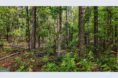 110 Handy Road, Newnan, GA 30263 - Photo 88